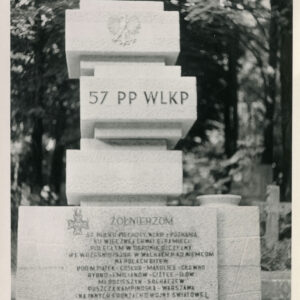 pomnik złożony z betonowych sześcianów różnej wielkości, stojących jeden na drugim, uzupełniony krzyżem żołnierskim i tablicą pamiątkową