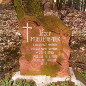 czerwona płyta nagrobna z napisami i krzyżem łacińskim w lewym górnym narożu, za nią teren pokryty liśćmi, metalowy płot i pnie drzew