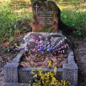 obmurowany grób z czerwoną płytą nagrobną, ozdobiony żółtymi i różowymi kwiatami; za nim teren porośnięty trawą, metalowy płot i pnie drzew