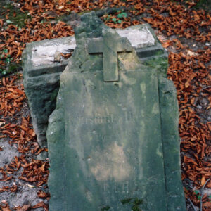 zabrudzona płyta nagrobna odspojona od cokołu z tablicą epitafijną i krzyżem łacińskim; wokół teren pokryty suchymi liśćmi