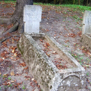 obmurowany grób o reliefowej dekoracji z płytą nagrobną w kształcie krzyża, obok inny nagrobek, za nim drzewa i metalowy płot