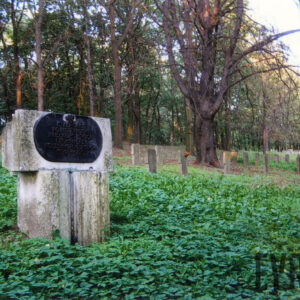 tablica z nazwą cmentarza umocowana na postumencie, z prawej strony wiele nagrobków w kształcie krzyży; teren porośnięty zielenią i drzewami 