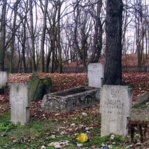 kilka nagrobków ze stelami w kształcie krzyży, za nimi drzewa bez liści i metalowy płot