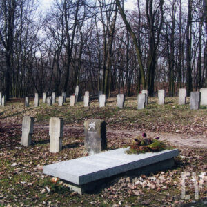 kilka rzędów nagrobków w kształcie krzyży, pomiędzy którymi biegnie wąska alejka; za nimi drzewa bez liści