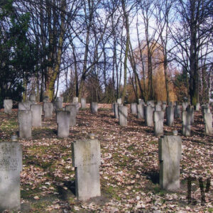 wiele nagrobków w kształcie krzyży, pomiędzy nimi drzewa, teren pokryty suchymi liśćmi