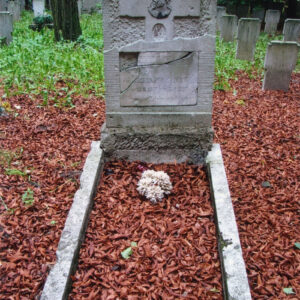 obmurowany grób z kamienną stelą, na której wyrzeźbiono krzyż łaciński z plakietą Chrystusa; z tyłu inne nagrobki i drzewa; teren pokrywają suche liście