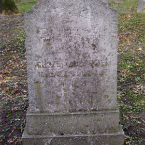 omszona płyta nagrobna z trudnymi do odczytania napisami i motywem liścia palmowego z krzyżem w górnej części; z tyłu inne nagrobki i pnie drzew