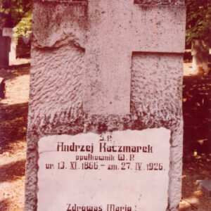 wysoka płyta z krzyżem łacińskim w górnej części i tablicą epitafijną poniżej, z tyłu inne nagrobki i drzewa