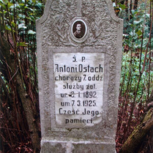 wysoka, wąska płyta nagrobna o porowatej strukturze z białą tablicą epitafijną, owalnym medalionem portretowym i krzyżem łacińskim 