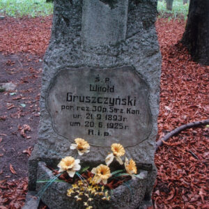 obmurowany grób i obelisk, z którego górnej części wyłania się pozostałość belki krzyża, a w dolnej części jest wtopiona tablica epitafijna; z tyłu teren cmentarza i drzewa