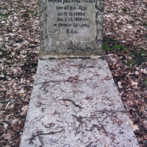 leżąca płyta i stela w formie głazu z płyciną, na której wyryto napisy; z tyłu teren cmentarza  