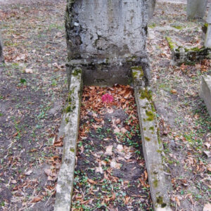obmurowany grób ze stelą zniszczoną w dużym stopniu, wokół teren cmentarza z innymi nagrobkami