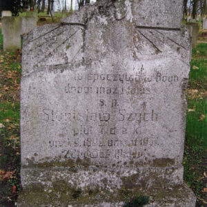 płyta nagrobna z odłamanym lewym górnym narożem, które pierwotnie tworzyło krzyż, w dolnej części inskrypcja; powierzchnia częściowo pokryta mchem