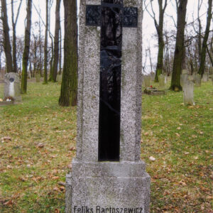 wysoka i wąska płyta nagrobna osadzona na cokole, na niej krzyż łaciński z czarnego szkła; z tyłu teren cmentarza z innymi nagrobkami i drzewami