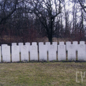 Dwa rzędy nagrobków o jednolitym wyglądzie. Za nimi drzewa bez liści.