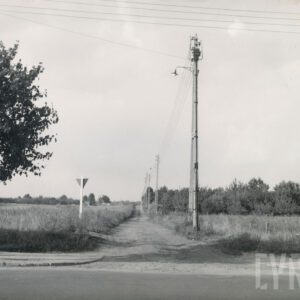 ubita piaszczysta droga porośnięta po obu stronach wysoką trawą, po jednej stronie ustawiony rząd latarni ulicznych