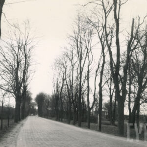 brukowana ulica porośnięta z dwóch stron drzewami, po jednej stronie za nimi nasyp ziemny, po drugiej domy z cegły