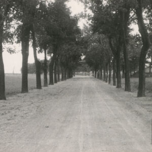 ubita piaszczysta droga obsadzona z po obu stronach drzewami, w głębi widoczny nasyp z budowlą z cegieł