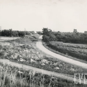 skrzyżowanie dwóch piaszczystych dróg porośniętych wkoło trawą, drzewami i krzewami, z jednej strony widoczne pole, w oddali wolnostojące domy mieszkalne