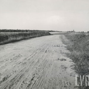 polna droga porośnięta z obu stron wysoką trawą, w oddali lasy oraz wysoka betonowa budowla