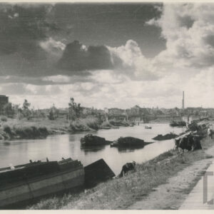 mężczyzna pojący krowy w rzece, w z której wystają wraki potopionych łodzi; drugi brzeg rzeki porośnięty jest trawą, krzewami i drzewami, góruje nad nim kompleks budynków industrialnych z cegieł