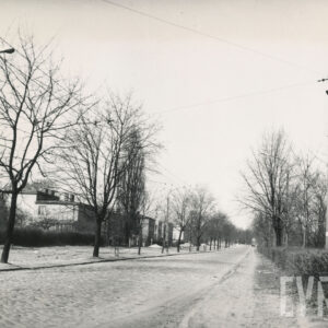 brukowana droga, wzdłuż której po obu stronach rosną drzewa, krzewy, stoją latarnie i słupy energetyczne, widoczne też wolnostojące domy mieszkalne