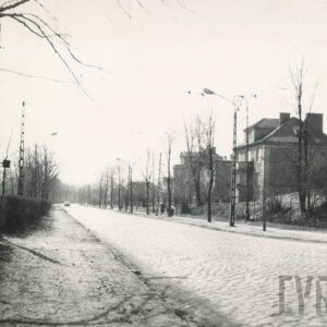 brukowana droga, po jednej jej stronie widoczne drzewa i słupy energetyczne, po drugiej chodnik ze spacerującymi ludźmi, lampami i słupami energetycznymi, głębiej wille mieszkalne