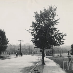 skrzyżowanie ulic, wzdłuż których ciągną się chodniki, rosną drzewa, stoją lampy i znaki drogowe; na chodnikach stoją ludzie, po jednej z ulic jedzie samochód