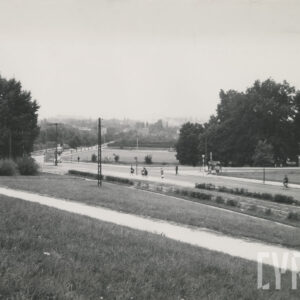 skrzyżowanie ulic, wzdłuż których ciągną się chodniki, rosną drzewa, stoją lampy i znaki drogowe; na chodnikach stoją ludzie, po jednej z ulic jedzie autobus