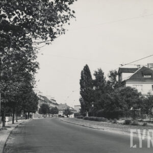 szeroka droga skręcająca w prawo równolegle do torów tramwajowych, po jej lewej stronie drzewa i lampy uliczne, dalej trawa i budynki mieszkalne