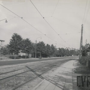 ulica skręcająca w prawo równolegle do torów tramwajowych, po jej lewej stronie drzewa i lampy uliczne, dalej trawa i budynki mieszkalne