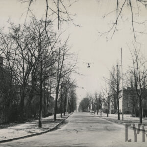 utwardzana ulica, wzdłuż której po obu stronach rosną drzewa, stoją słupy energetyczne oraz szereg wolnostojących budynków mieszkalnych