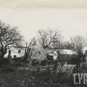 zarośnięty trawą teren, na którym rosną drzewa, widoczny drewniany płot, stóg siana, w głębi fragmenty niskiego budynku mieszkalnego