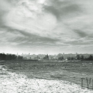 puste piaszczysta parcela, porośnięta z rzadka trawą; w oddali drzewa, droga i zarysy budynków