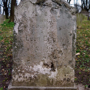 zniszczona płyta nagrobna z licznymi odpryskami kamienia i nieczytelnymi napisami, za nią fragmenty innych nagrobków i pnie drzew 