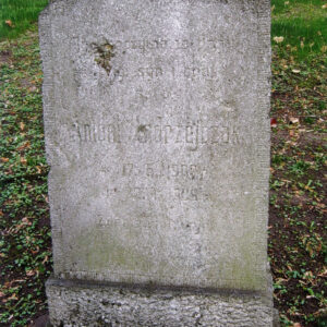 kamienna prostokątna płyta o żłobkowanych krawędziach z napisami w języku polskim, zabrudzona i omszała, wokół teren cmentarza