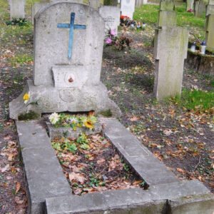 szerokie obmurowanie mogiły ziemnej i płyta nagrobna na cokole z czarnym krzyżem łacińskim, w dolnej części medalion portretowy, wokół teren cmentarza, inne nagrobki i drzewa