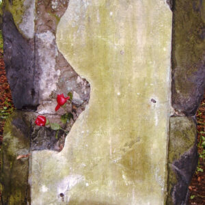 uszkodzona tablica z dużym ubytkiem lewej części, słabo czytelne napisy, omszała, w szczelinie tablicy umieszczono dwie sztuczne, czerwone róże