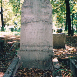 wąskie obmurowanie mogiły ziemnej i wysoka płyta nagrobna z krzyżem w górnej części i zamazanymi napisami w dolnej, wokół teren cmentarza, inne nagrobki i drzewa