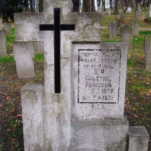 na cokole umieszczony wysoki krzyż łaciński z czarnym, szklanym krzyżem, do niego przylega prostokątna tablica epitafijna, wokół teren cmentarza, inne nagrobki i drzewa