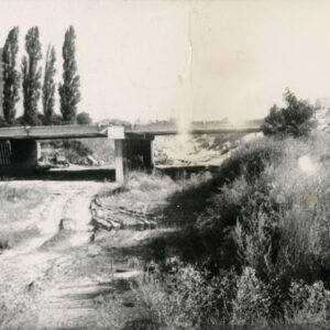 wiadukt wybudowany w wgłębieniu ziemnym, wśród traw i krzaków; w głębi budynki mieszkalne