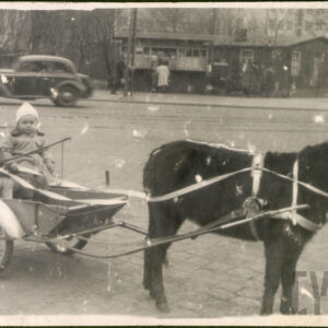dwaj mali chłopcy w małym, dziecięcym powoziku zaprzężonym w osiołka