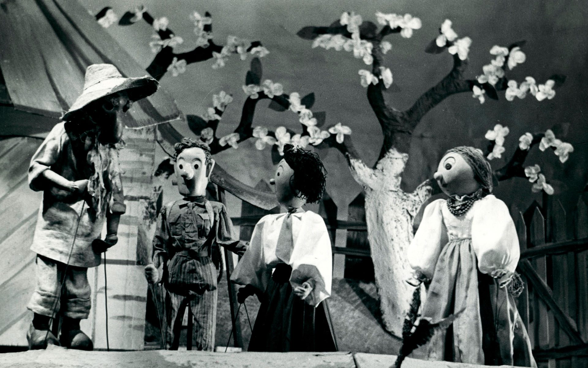 Wawrzyńcowy sad | 1953 | Ze zb. Teatru Animacji w Poznaniu
