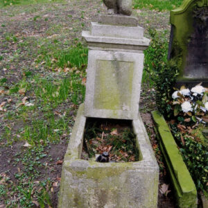 Nagrobek z wysokim obmurowaniem i postumentem, na którym umieszczona jest rzeźba putta. Wokół teren cmentarza, fragment innego nagrobka i pnie drzew.