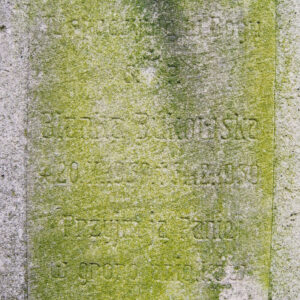 Tablica epitafijna pokryta zielonym nalotem wtopiona w płytę nagrobną.