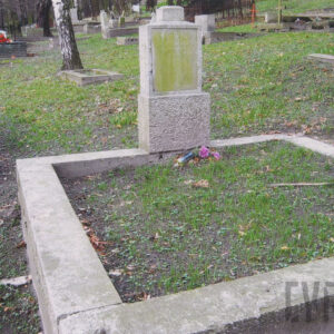 pionowa płyta nagrobna z obmurowaniem, wokół inne nagrobki i pnie drzew