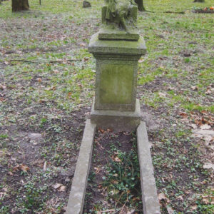 Uszkodzona figura anioła na postumencie osadzonym na cokole i niskie obmurowanie mogiły ziemnej. Wokół teren cmentarza, pnie drzew i fragment metalowego ogrodzenia.