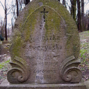 pionowa płyta nagrobna z inskrypcją, pokryta zielonym nalotem