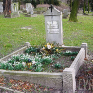 pionowa stela z tablicą epitafijną i obmurowana mogiła ziemna, wewnątrz której rosną białe kwiaty, wokół teren cmentarza, inne nagrobki i pnie drzew