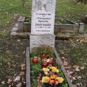 wysoka, pionowa stela z tablicą epitafijną i krzyżem łacińskim, wewnątrz obmurowania znajdują się sztuczne kwiaty, gałązki świerku i znicze, wokół zielony teren cmentarza